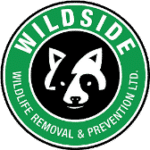 Wildside Wildlife Removal & Prevention Ltd photo 3