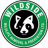 Wildside Wildlife Removal & Prevention Ltd photo 2